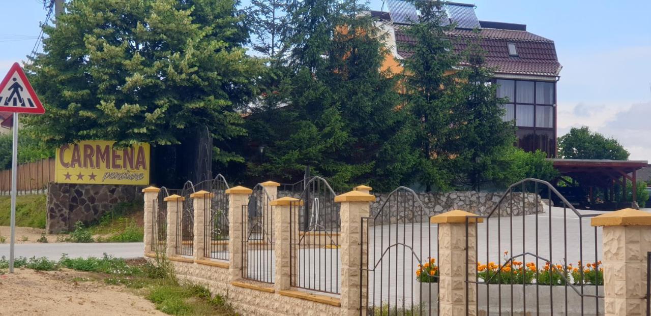 Pensiunea Carmena Băile Felix المظهر الخارجي الصورة