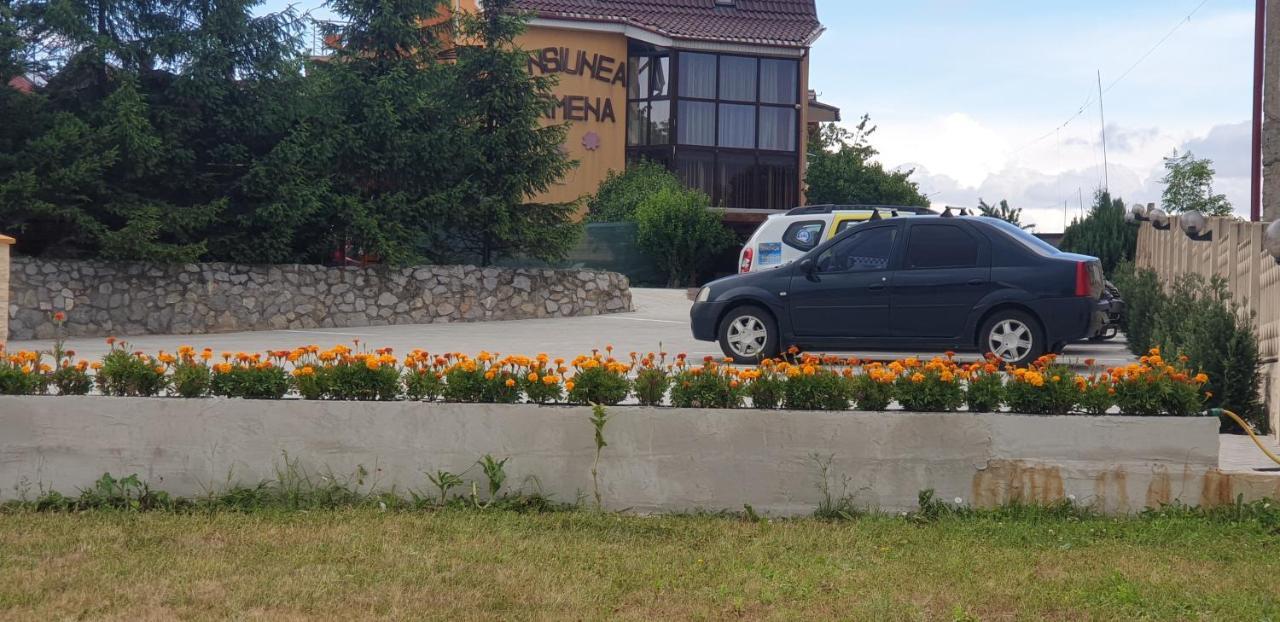 Pensiunea Carmena Băile Felix المظهر الخارجي الصورة