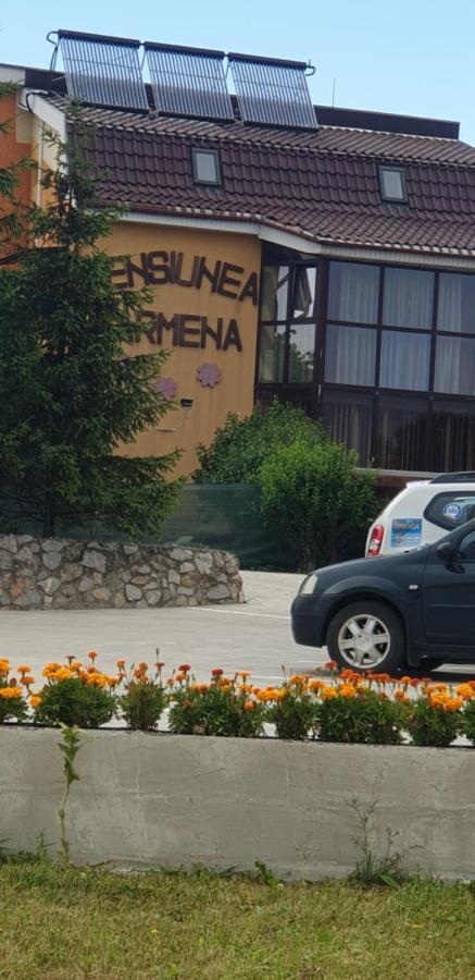 Pensiunea Carmena Băile Felix المظهر الخارجي الصورة