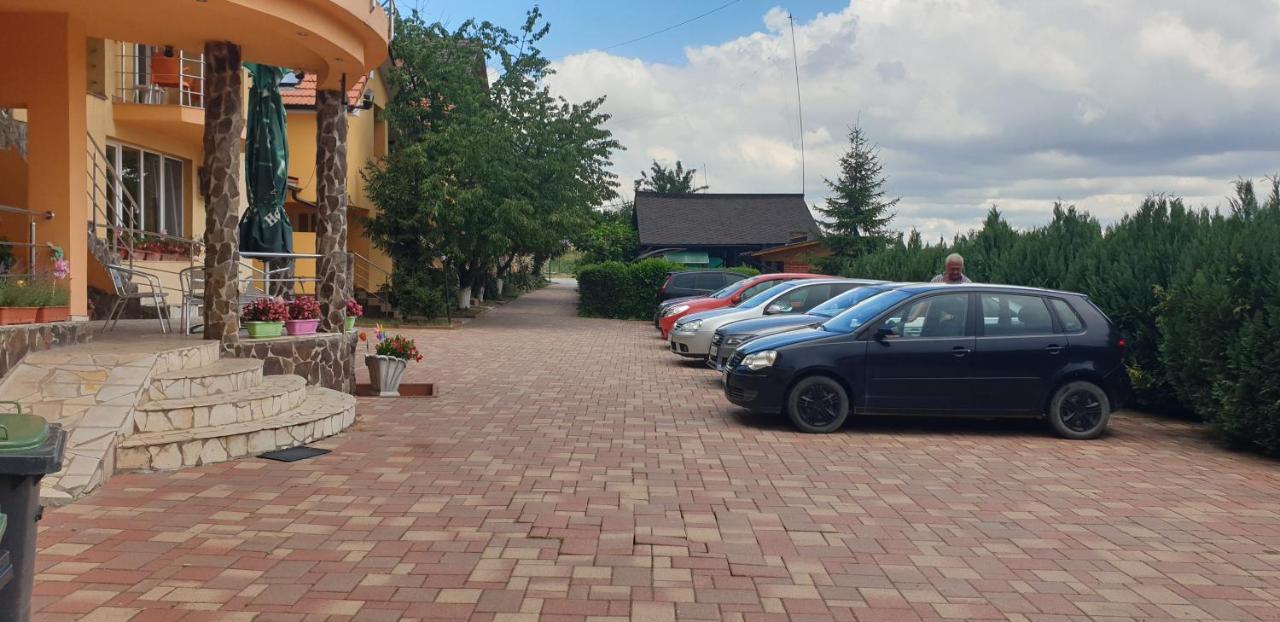 Pensiunea Carmena Băile Felix المظهر الخارجي الصورة